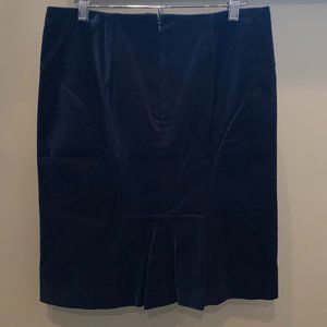NWT Ann Taylor Blue Velvet Skirt Size 10P